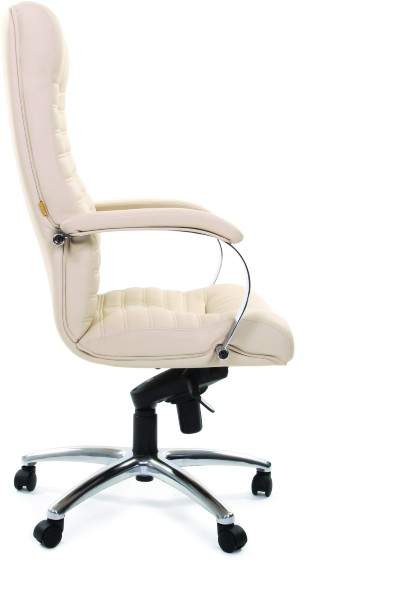 Кресла руководителя CHAIRMAN 480 / CH 480 эко в Сургуте 