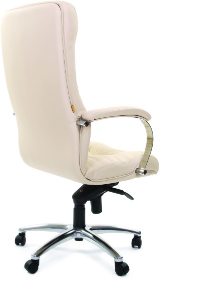 Кресла руководителя CHAIRMAN 480 / CH 480 эко в Сургуте 