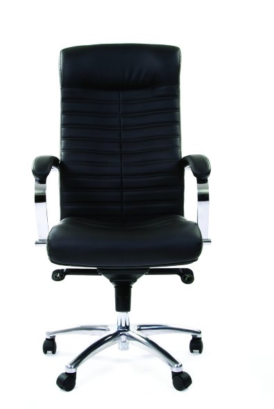Кресла руководителя CHAIRMAN 480 / CH 480 эко в Сургуте 