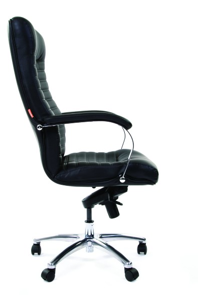 Кресла руководителя CHAIRMAN 480 / CH 480 эко в Сургуте 