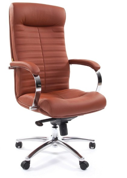 Кресла руководителя CHAIRMAN 480 / CH 480 эко в Сургуте 